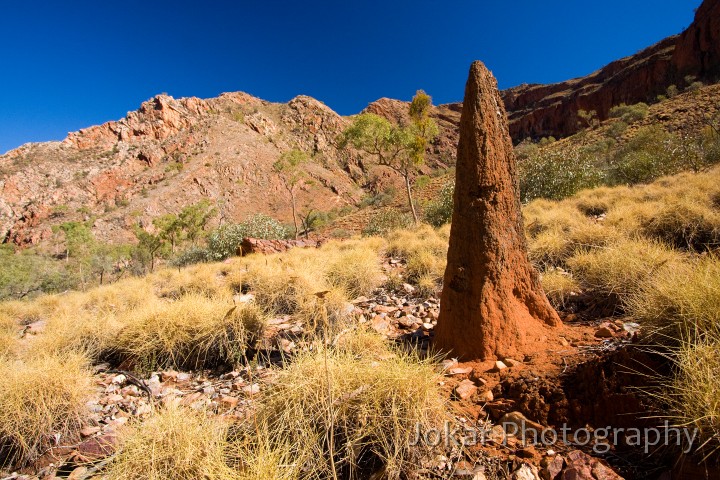 Larapinta_20080609_364 copy.jpg - Termite mound, Hugh Gorge